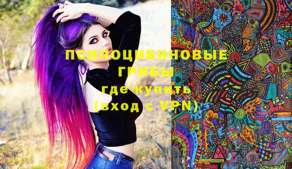сатива Вязьма