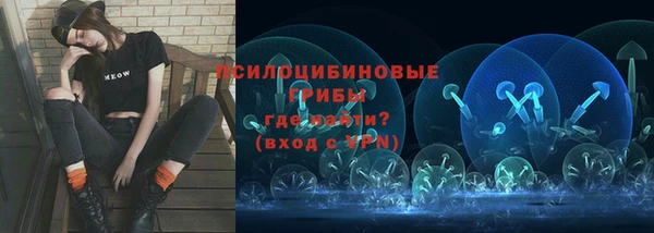 сатива Вязьма