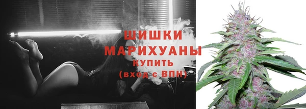 сатива Вязьма