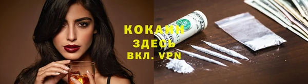 сатива Вязьма