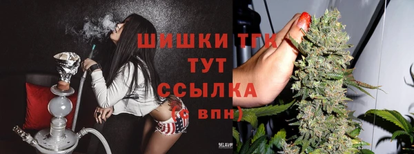 сатива Вязьма