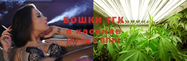 эйфоретик Вяземский