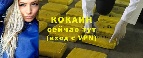 эйфоретик Вяземский